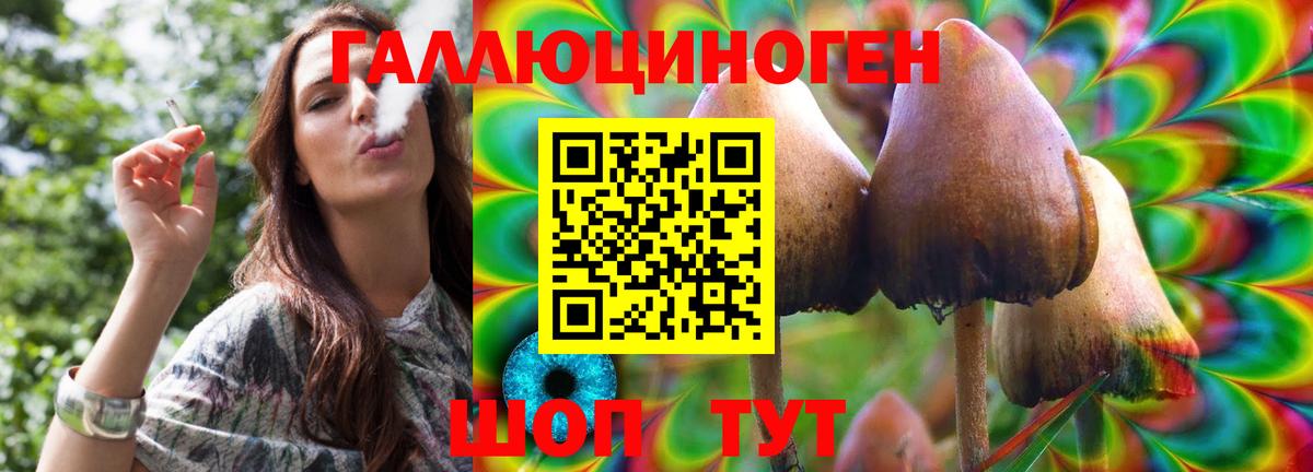 Галлюциногенные грибы мухоморы Чайковский