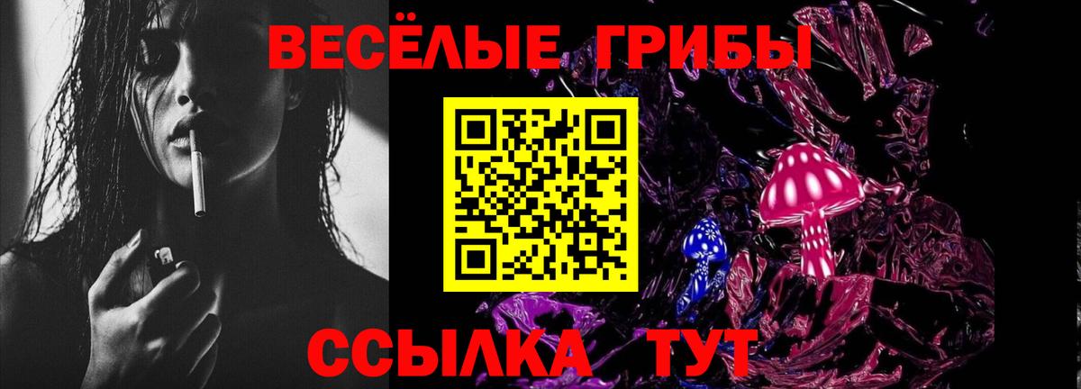 Чайковский  Галлюциногенные грибы Magic Shrooms  Вход с VPN 